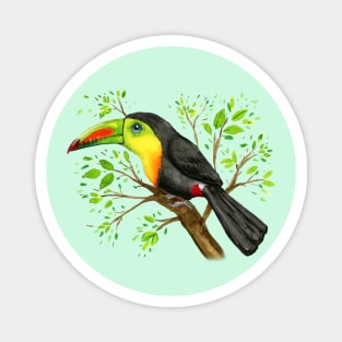 A watercolor drawing of a keel-billed toucan Magnet